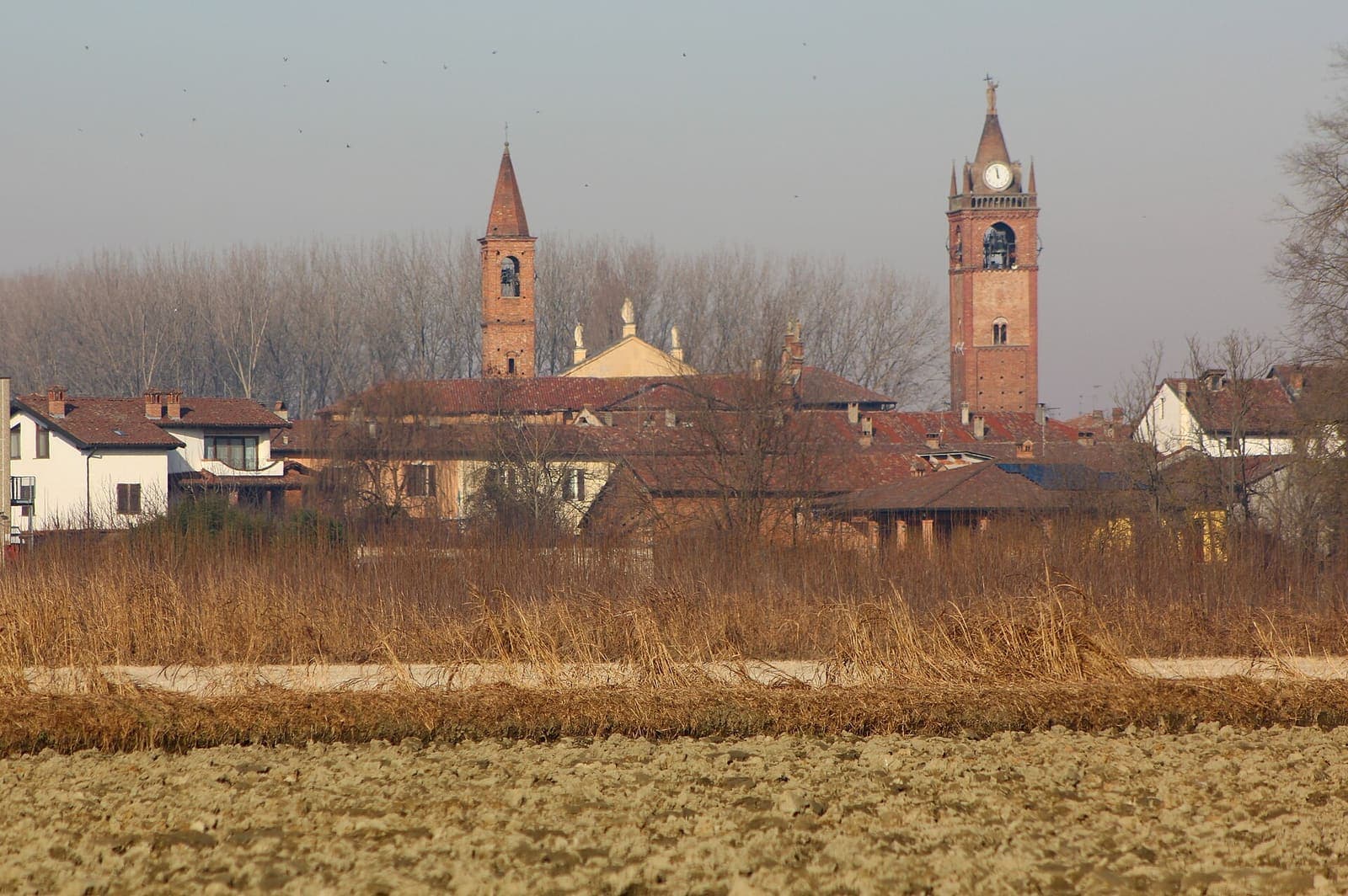 Pieve del Cairo con i due campanili oltre i campi