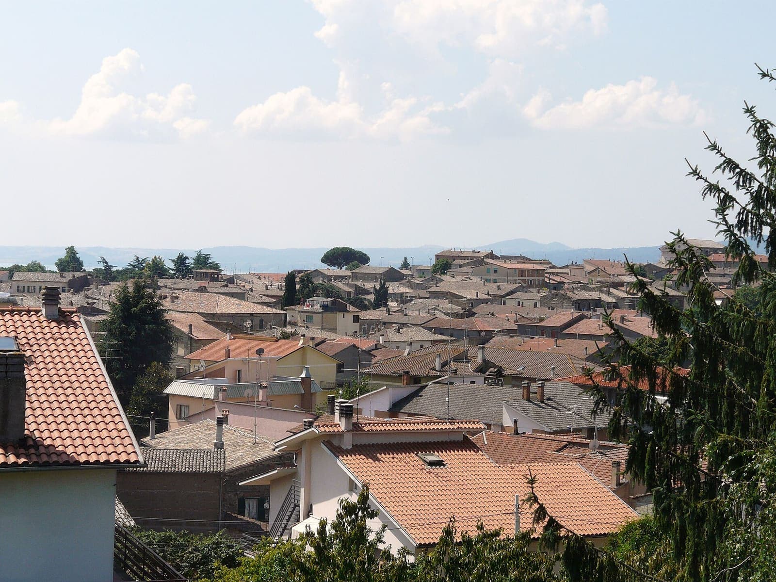 Panorama dei tetti di San Lorenzo Nuovo