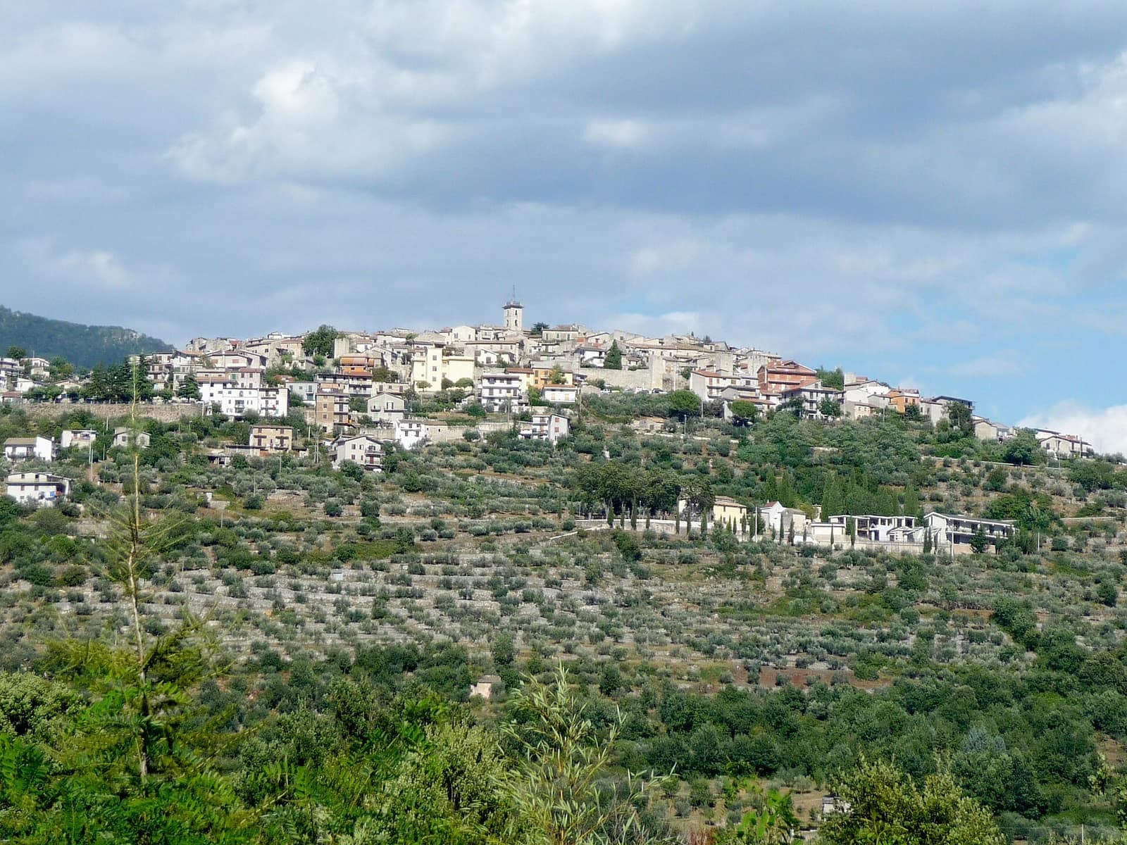 Vico nel Lazio sul colle vista da Pitocco, con gli ulivi davanti
